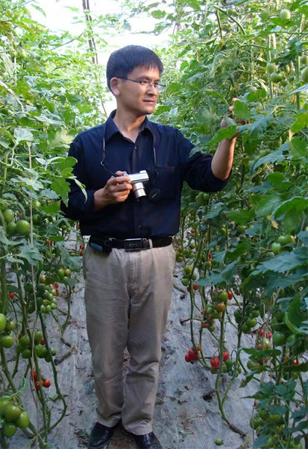 全国政协委员李宝聚：培育设施蔬菜种植大户，推进设施蔬菜产业高质量发展