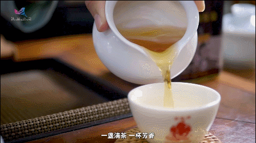 如何真正做有价值的科研？听“茶叶院士”陈宗懋的答案