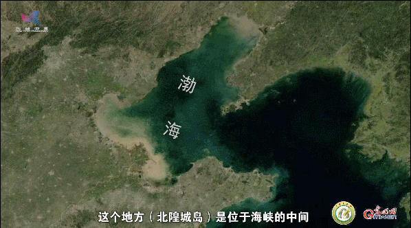 【一线调研·青春有为】一座海岛，一群博士，二十年接力只为一件事