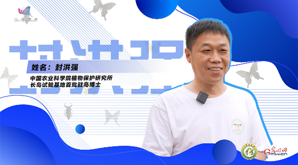【一线调研·青春有为】一座海岛，一群博士，二十年接力只为一件事