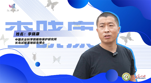 【一线调研·青春有为】一座海岛，一群博士，二十年接力只为一件事