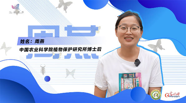 【一线调研·青春有为】一座海岛，一群博士，二十年接力只为一件事