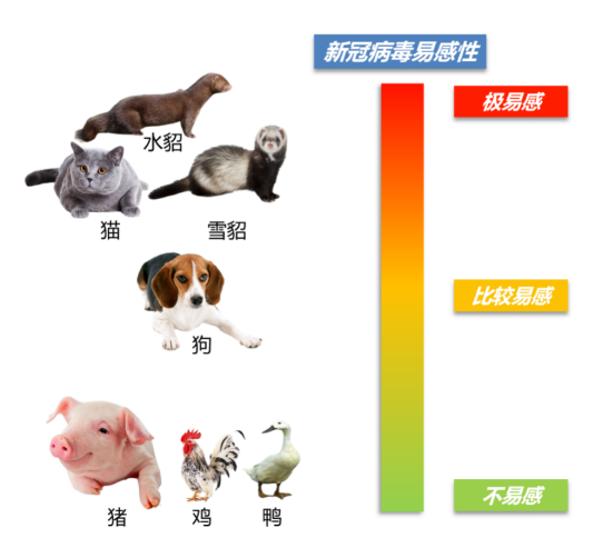 1 面向世界农业科技前沿，取得一批原创性科学成果1963.png