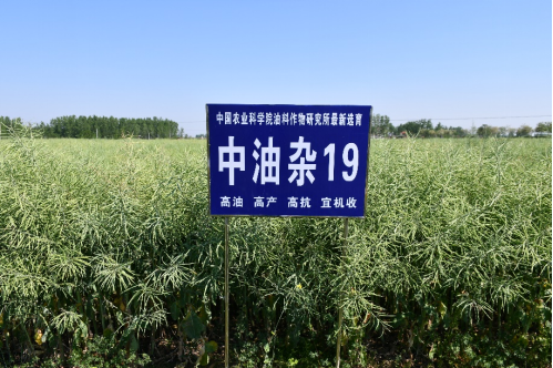 3 面向现代农业建设主战场，创制一批重大产品690.png