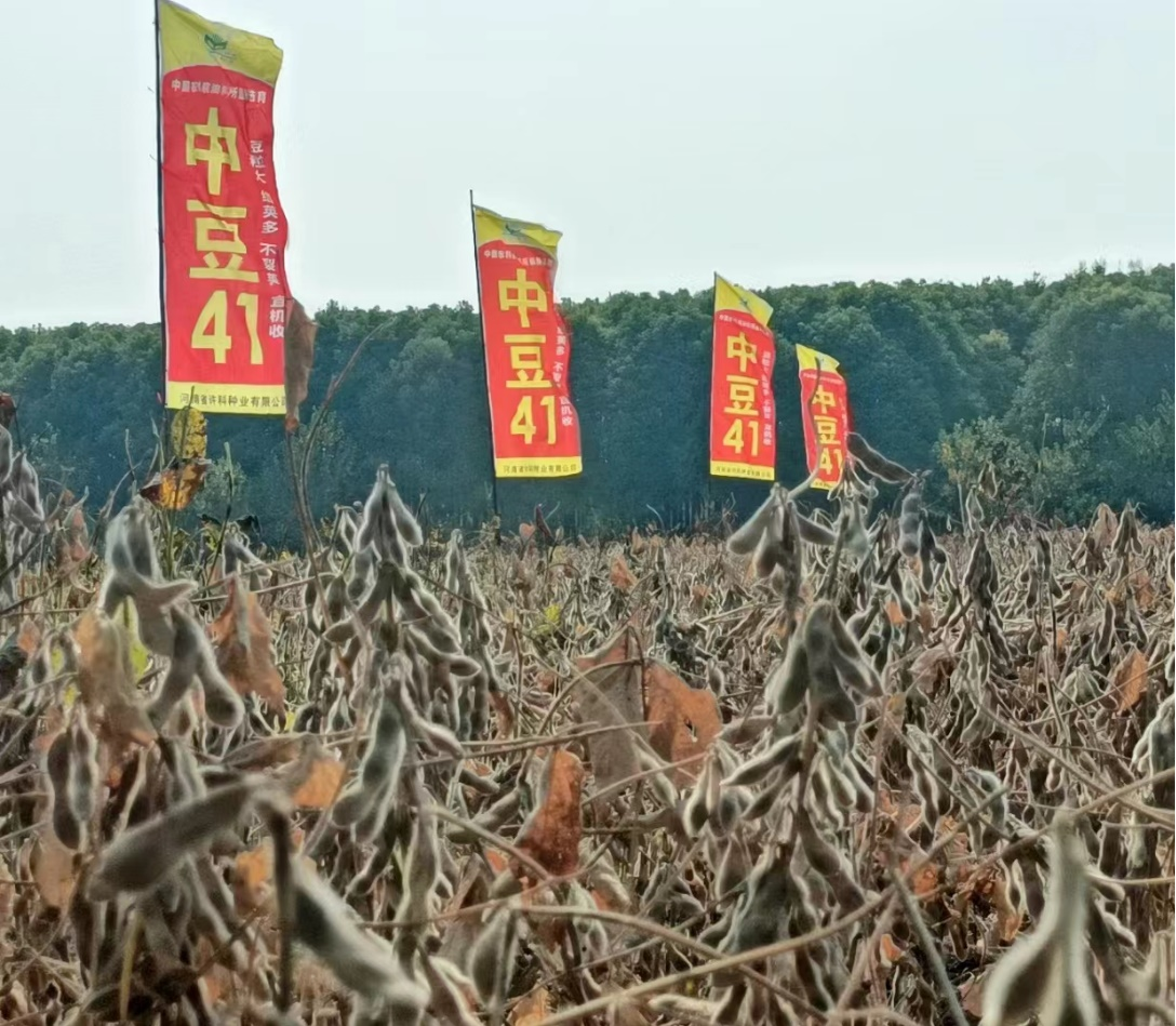 锻造2.png