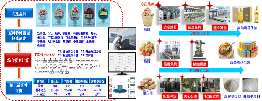 大食物观1.png