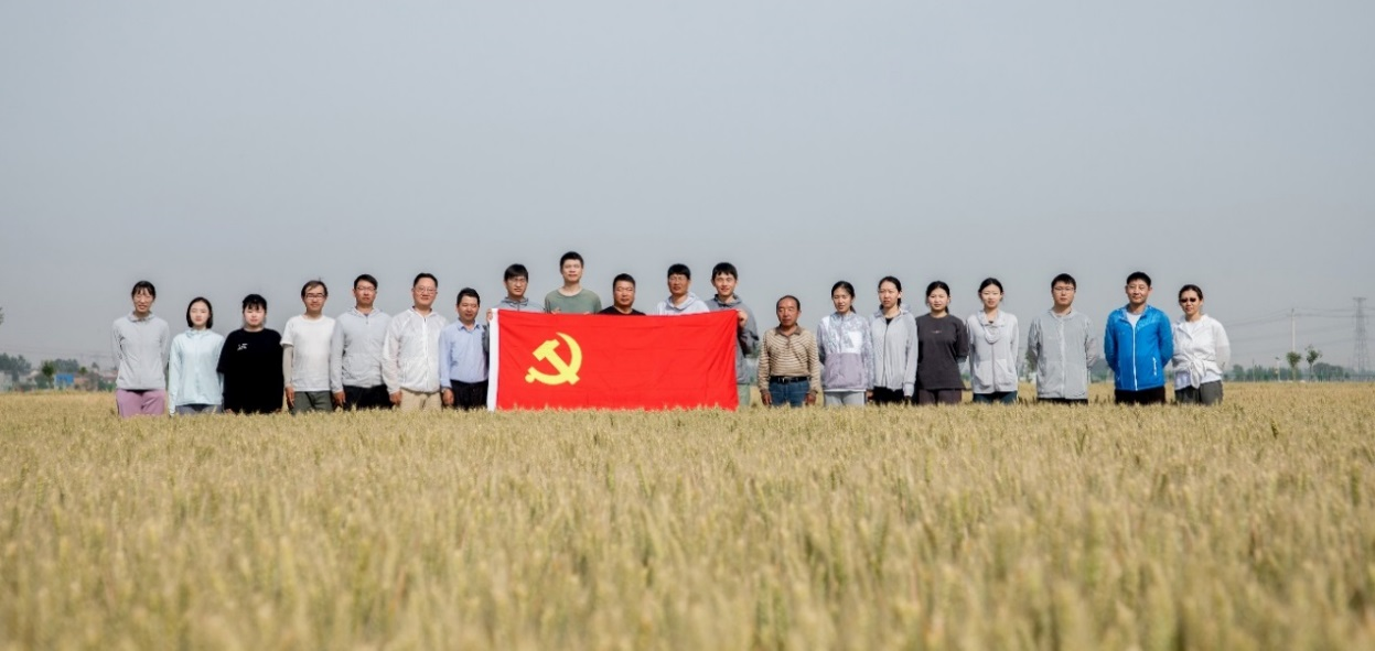 图片6.png