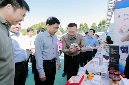 2956343_500x500全民素质.png