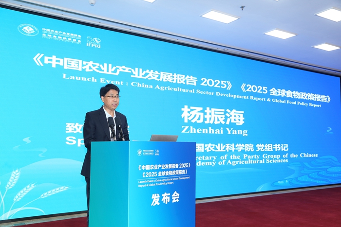 杨书记.jpg