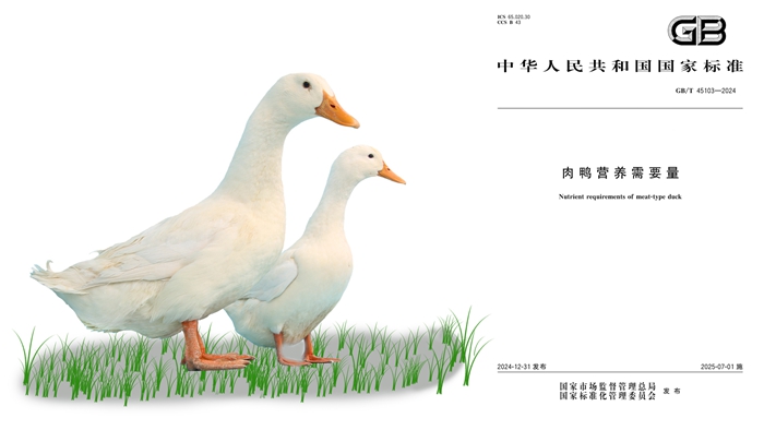 未标题-2.jpg